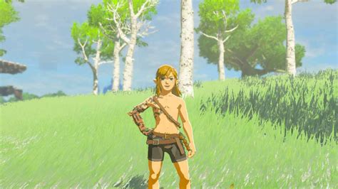 legend of zelda nude mod|Nude Link 2.1